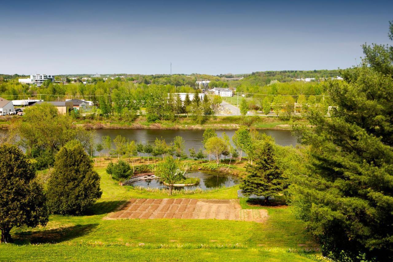 Hebergement "La Maison En Bois Rond" Sainte-Marie Exteriör bild